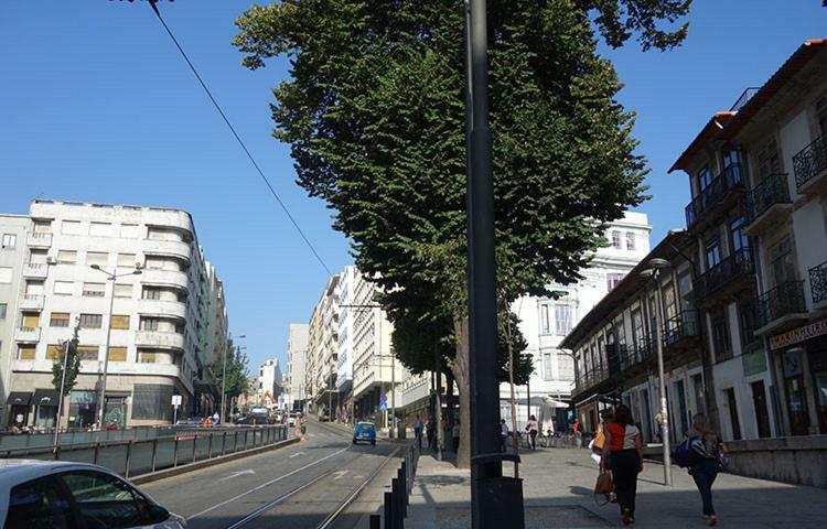 Ceuta Inn Porto Exterior foto